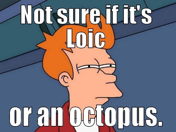 That's a Loicoctopuss - NOT SURE IF IT'S LOIC OR AN OCTOPUS. Futurama Fry