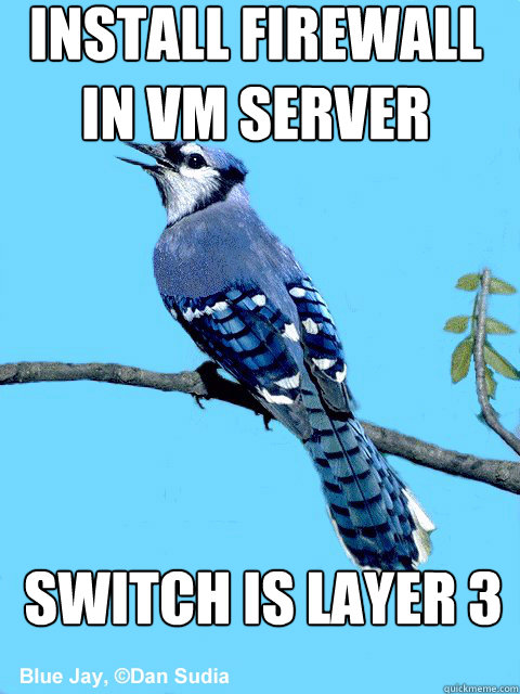 Install firewall in vm server Switch is layer 3  Blue Team Bird