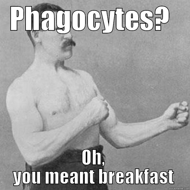 PHAGOCYTES?  OH, YOU MEANT BREAKFAST overly manly man