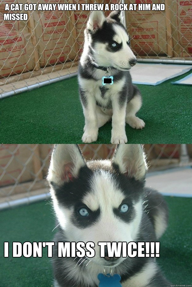  A cat got away when I threw a rock at him and missed I don't miss twice!!!  Insanity puppy