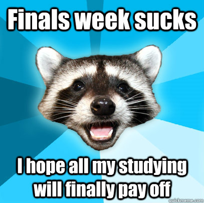 Finals week sucks I hope all my studying will finally pay off   Lame Pun Coon