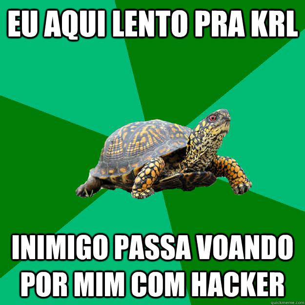 eu aqui lento pra krl inimigo passa voando por mim com hacker  Torrenting Turtle