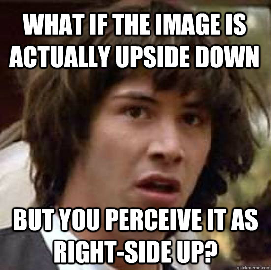 What if the image is actually upside down But you perceive it as right-side up?  conspiracy keanu