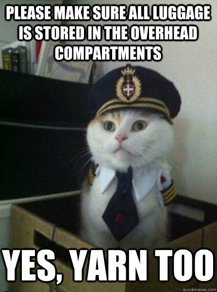 Please make sure all luggage is stored in the overhead compartments Yes, yarn too  Captain kitteh