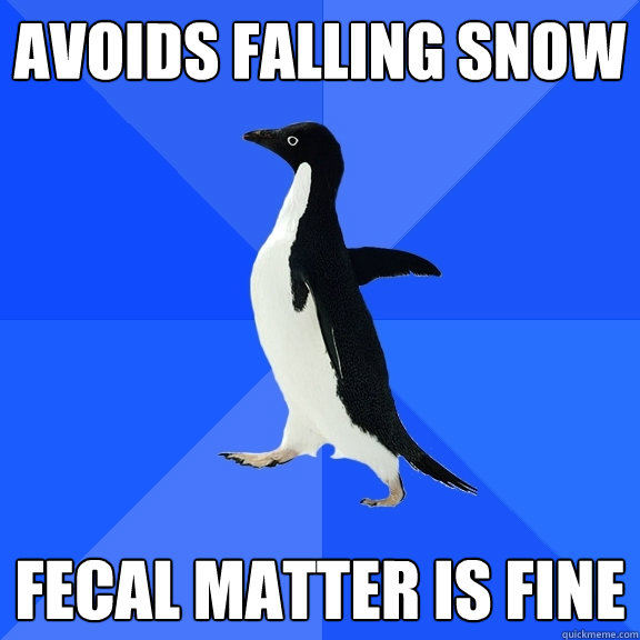 Avoids falling snow fecal matter is fine  Socially Awkward Penguin