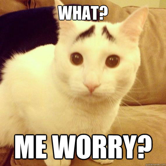 what? me worry? - what? me worry?  Worried Cat