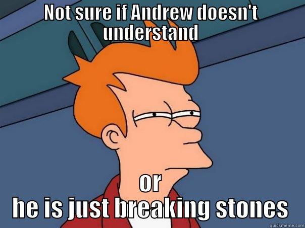 NOT SURE IF ANDREW DOESN'T UNDERSTAND OR HE IS JUST BREAKING STONES Futurama Fry