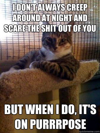 I don't always creep around at night and scare the shit out of you but when i do, it's on purrrpose  The Most Interesting Cat in the World