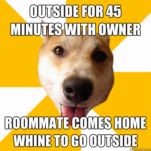outside for 45 minutes with owner roommate comes home whine to go outside  