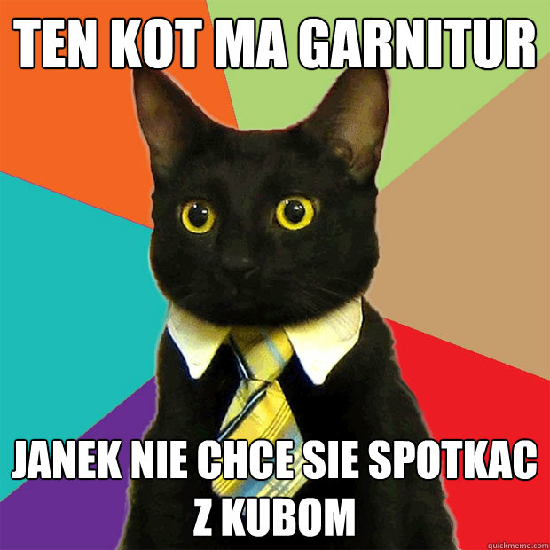 ten kot ma garnitur Janek nie chce sie spotkac z kubom  Business Cat