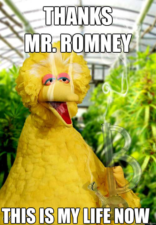 Thanks
Mr. Romney This is my life now - Thanks
Mr. Romney This is my life now  High Big Bird