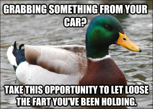 Grabbing something from your car? Take this opportunity to let loose the fart you've been holding.  Actual Advice Mallard