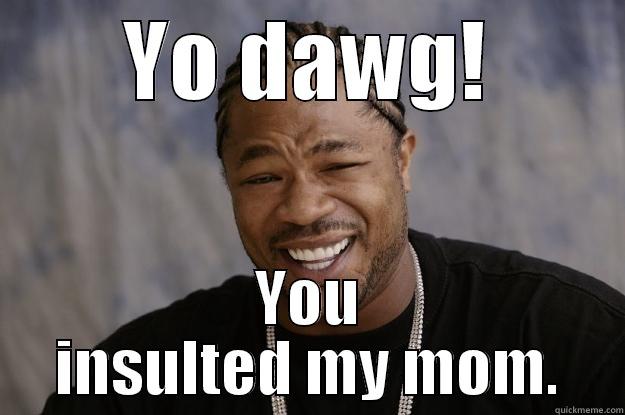 YO DAWG! YOU INSULTED MY MOM. Xzibit meme