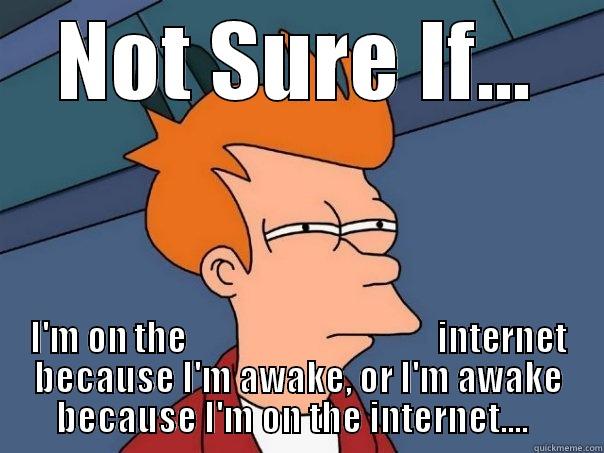 NOT SURE IF... I'M ON THE                                    INTERNET BECAUSE I'M AWAKE, OR I'M AWAKE BECAUSE I'M ON THE INTERNET....   Futurama Fry