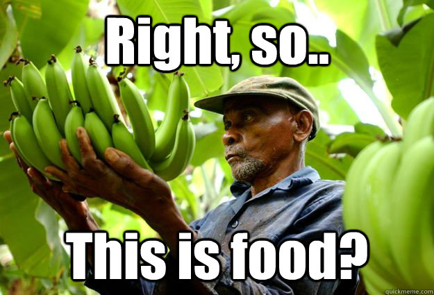 Right, so.. This is food? - Right, so.. This is food?  Food