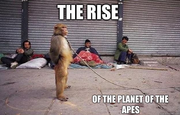 The rise Of the planet of the apes  Superior Monkey