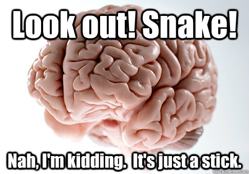 Look out! Snake! Nah, I'm kidding.  It's just a stick.   Scumbag Brain