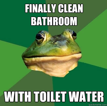 Finally clean bathroom with toilet water  Foul Bachelor Frog