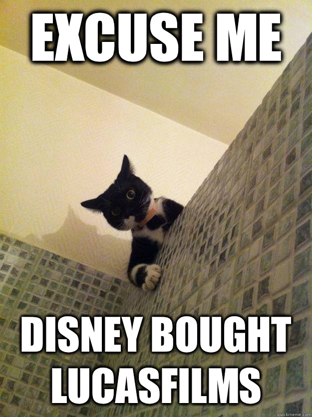 Excuse me Disney bought LucasFilms  Incredulous Cat