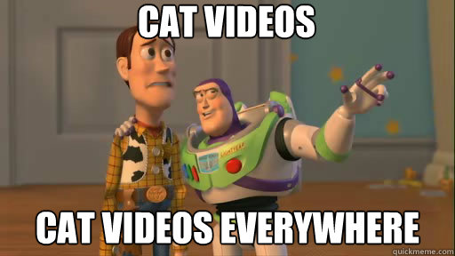 cat videos cat videos everywhere  Everywhere