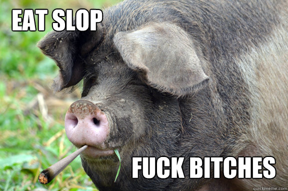 Eat slop fuck bitches  Stoner Pig