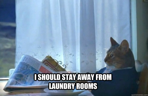 I should stay away from Laundry rooms  Sophisticated Cat