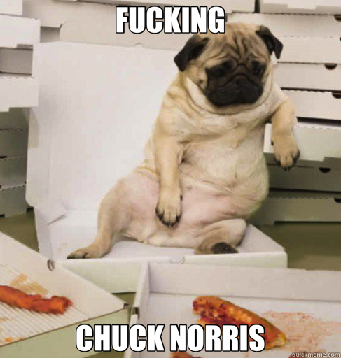 FUCKING CHUCK NORRIS - FUCKING CHUCK NORRIS  pug pizza