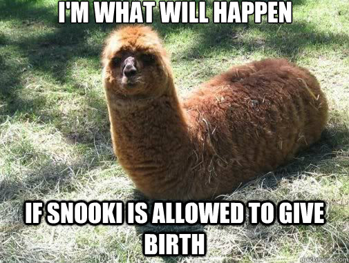 I'm what will happen If snooki is allowed to give birth  Alpacapillar