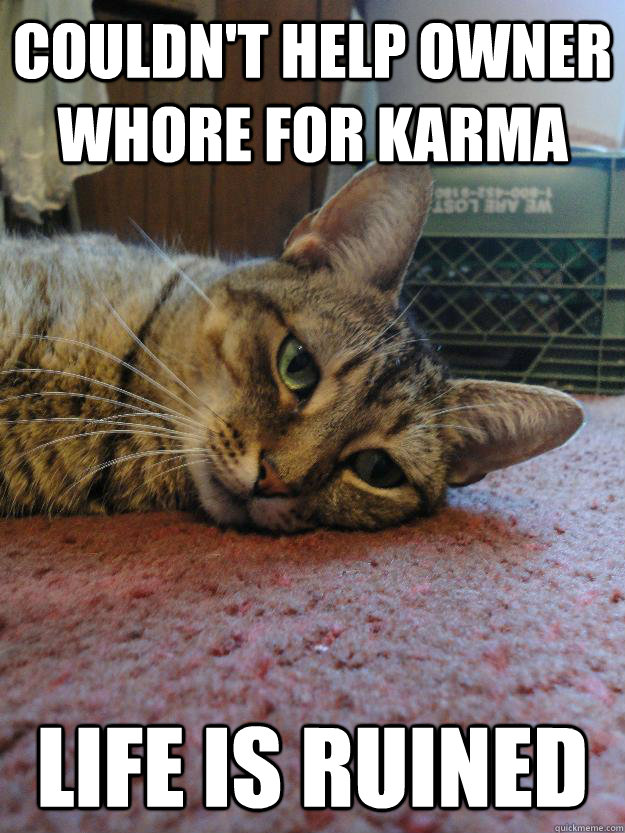 Couldn't help owner whore for karma life is ruined - Couldn't help owner whore for karma life is ruined  Life Is Ruined Cat