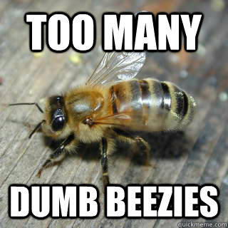 Too many dumb Beezies - Too many dumb Beezies  Hivemind bee