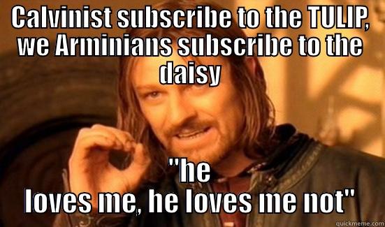 CALVINIST SUBSCRIBE TO THE TULIP, WE ARMINIANS SUBSCRIBE TO THE DAISY 