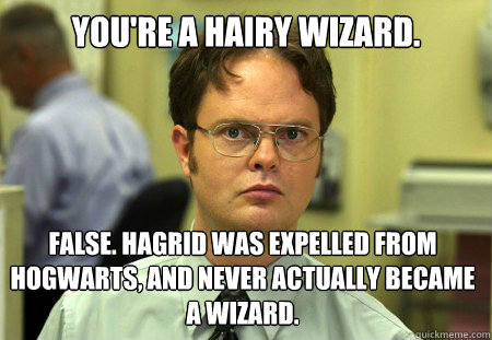 You're a hairy wizard. False. Hagrid was expelled from Hogwarts, and never actually became a wizard.  Dwight
