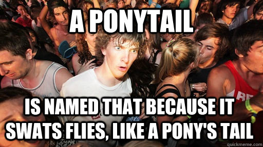 A ponytail is named that because it swats flies, like a pony's tail  Sudden Clarity Clarence
