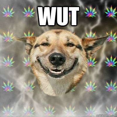 wut   Stoner Dog