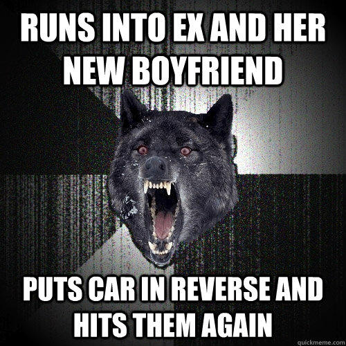 runs into ex and her new boyfriend puts car in reverse and hits them again  Insanity Wolf