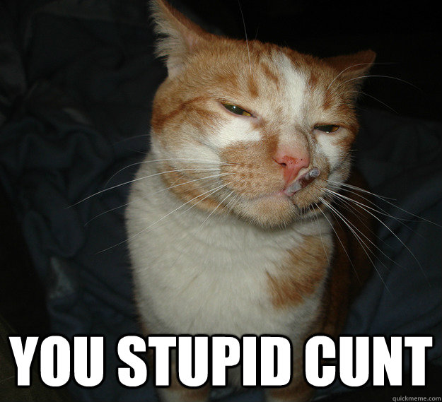  you stupid cunt  Cool Cat Craig
