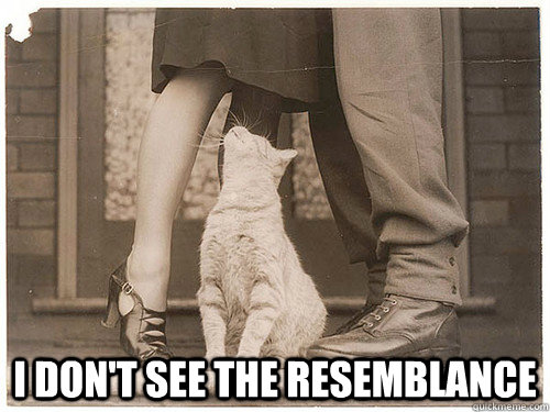 I don't see the resemblance  - I don't see the resemblance   Pussy Cat
