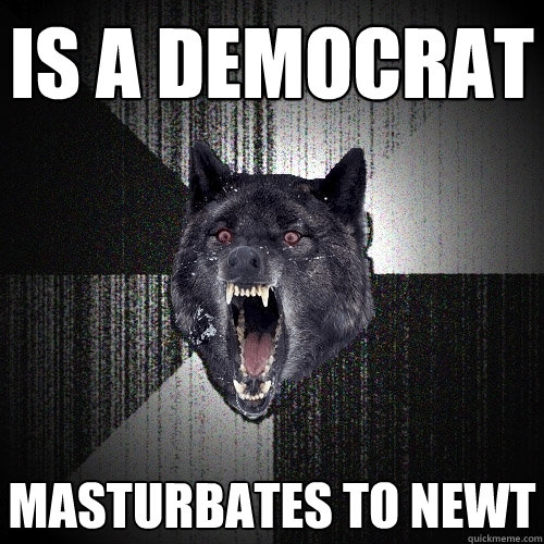 Is a democrat Masturbates to Newt  Insanity Wolf