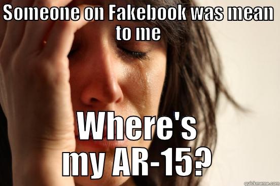 SOMEONE ON FAKEBOOK WAS MEAN TO ME WHERE'S MY AR-15? First World Problems