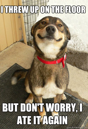 i threw up on the floor but don't worry, i ate it again  Good Dog Greg