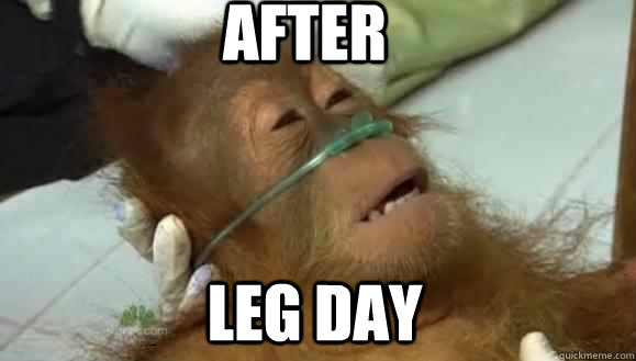 After Leg Day - Leg Day - quickmeme