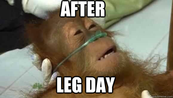 After Leg Day - After Leg Day  Leg Day