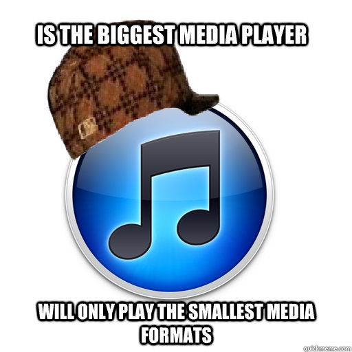 Is the biggest media player Will only play the smallest media formats  scumbag itunes