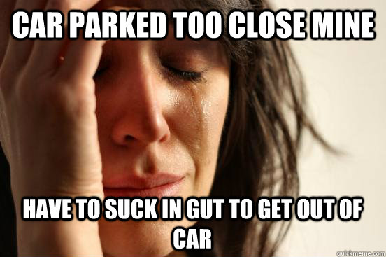 Car parked too close mine Have to suck in gut to get out of car  First World Problems