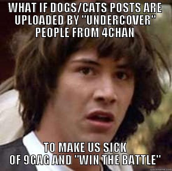 WHAT IF DOGS/CATS POSTS ARE UPLOADED BY 