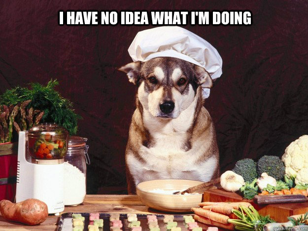 I HAVE NO IDEA WHAT I'M DOING - I HAVE NO IDEA WHAT I'M DOING  Chef Dog