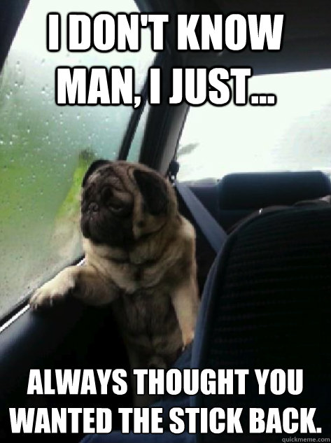 I don't know man, I just... always thought you wanted the stick back.  Introspective Pug