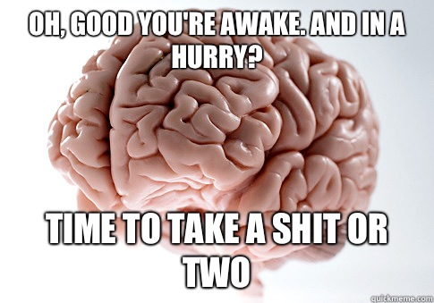 Oh, good you're awake. And in a hurry? Time to take a shit or two  Scumbag Brain