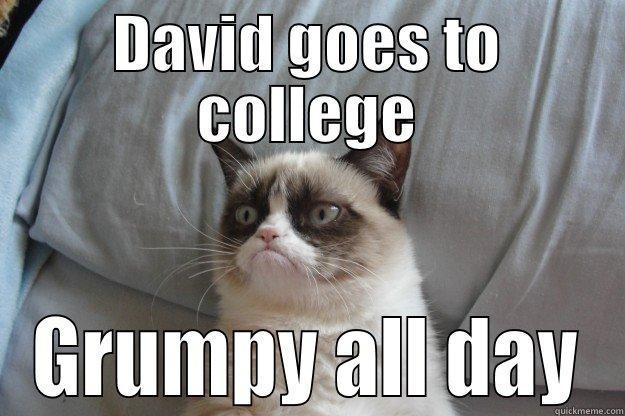 David in College - DAVID GOES TO COLLEGE GRUMPY ALL DAY Grumpy Cat