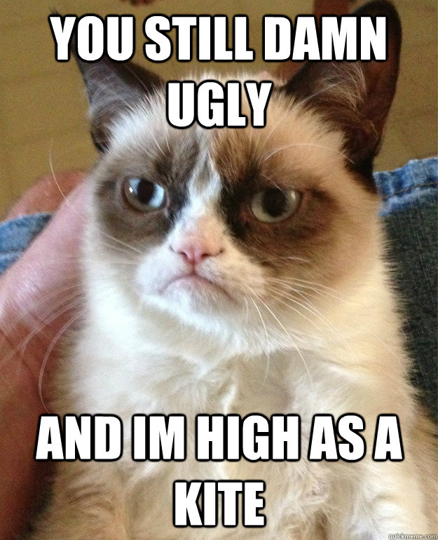 YOU STILL DAMN UGLY AND IM HIGH AS A KITE - YOU STILL DAMN UGLY AND IM HIGH AS A KITE  Grumpy Cat